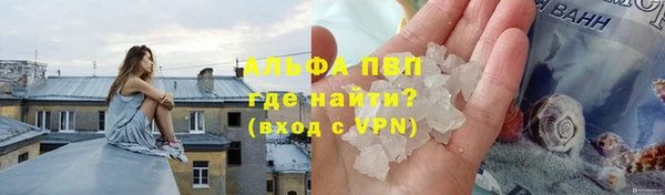 ПСИЛОЦИБИНОВЫЕ ГРИБЫ Вязники