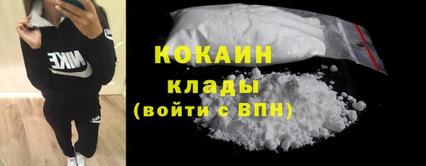 ПСИЛОЦИБИНОВЫЕ ГРИБЫ Вязники
