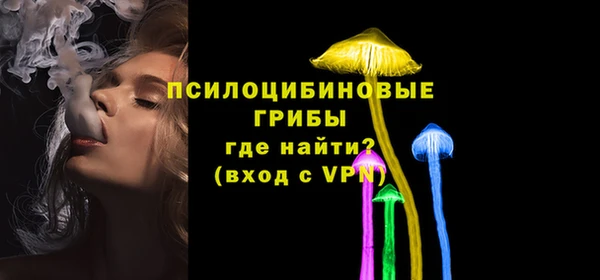 ПСИЛОЦИБИНОВЫЕ ГРИБЫ Вязники