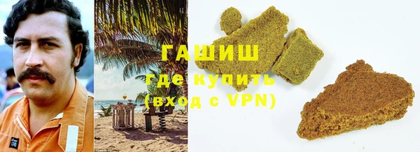 дживик Бородино