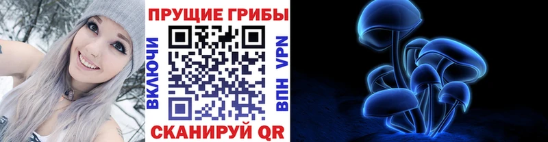 закладка Зверево Галлюциногенные грибы GOLDEN TEACHER